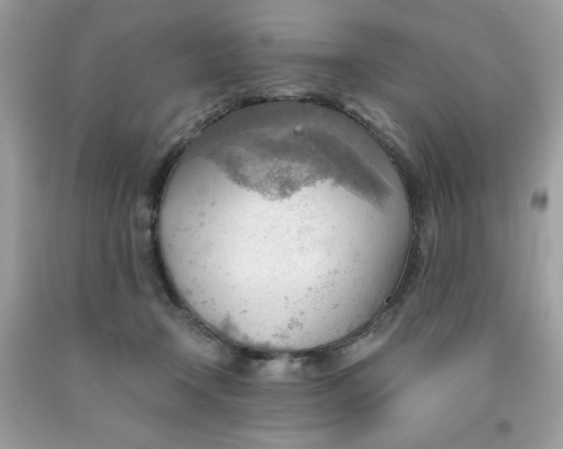 X0000091570366200709101002