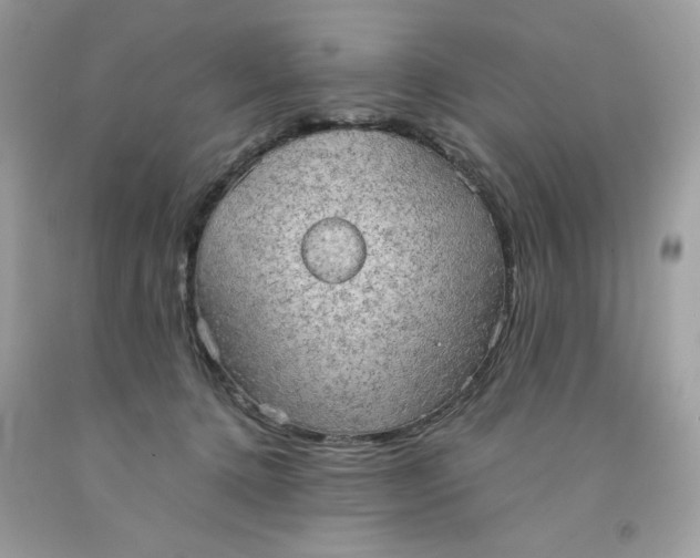 X0000091570368200709101002