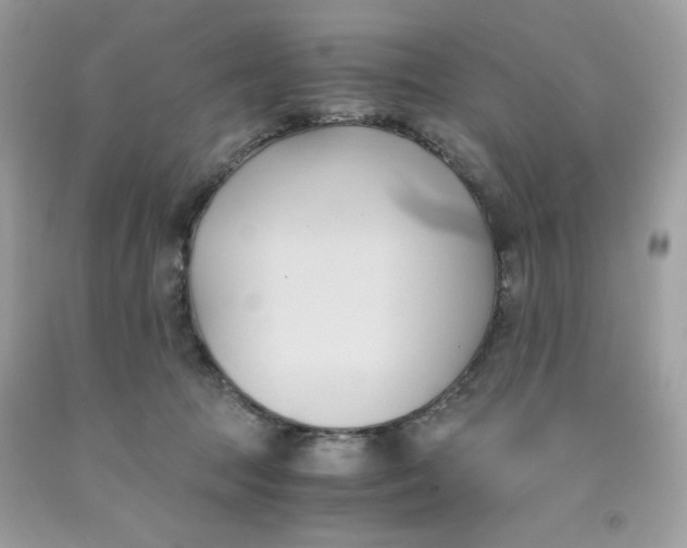 X0000091570369200709101002