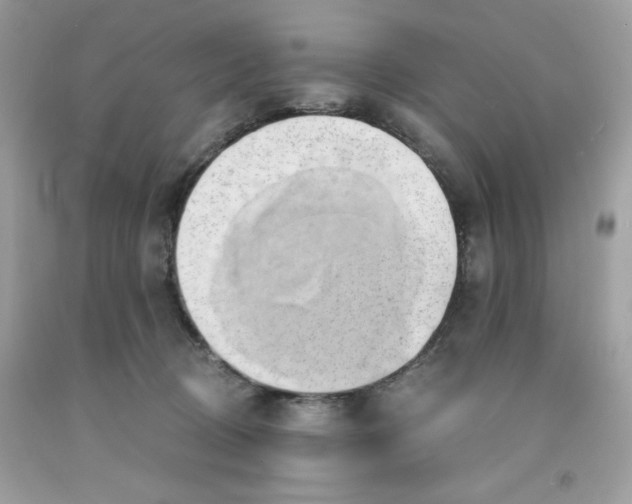 X0000091570370200709101002