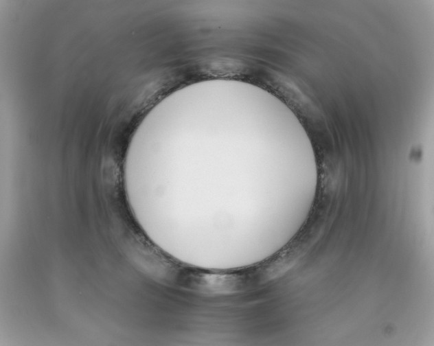 X0000091570371200709101002