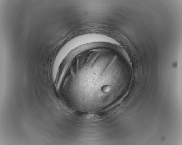 X0000091570372200709101002