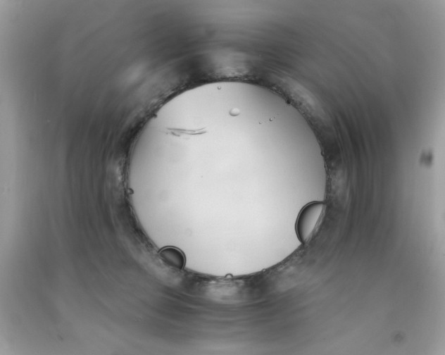 X0000091570373200709101002