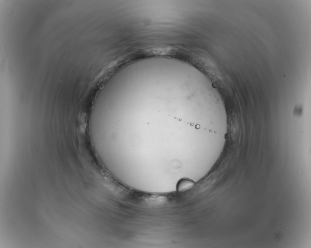 X0000091570374200709101002