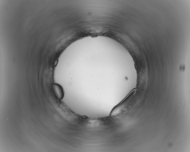 X0000091570376200709101002