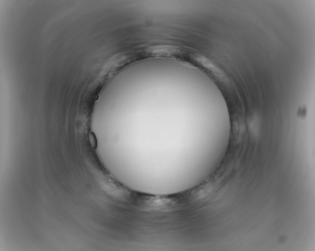 X0000091570379200709101002