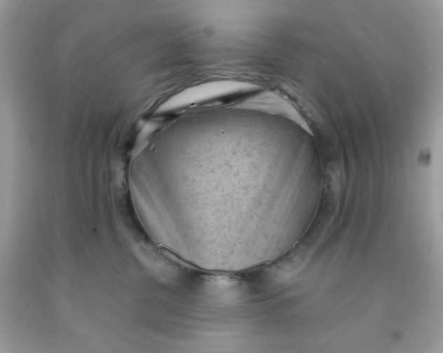 X0000091570380200709101002