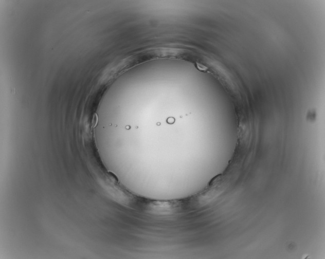 X0000091570381200709101002