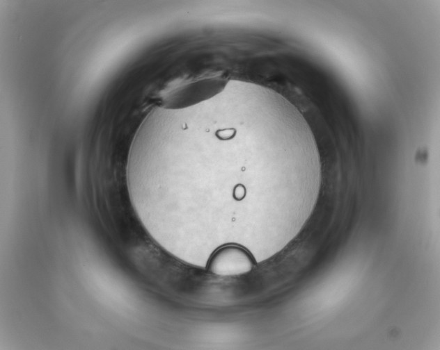 X0000091570382200709101002