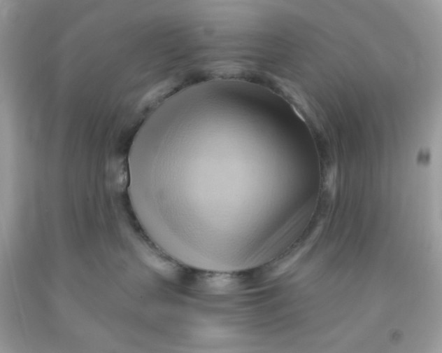 X0000091570383200709101002