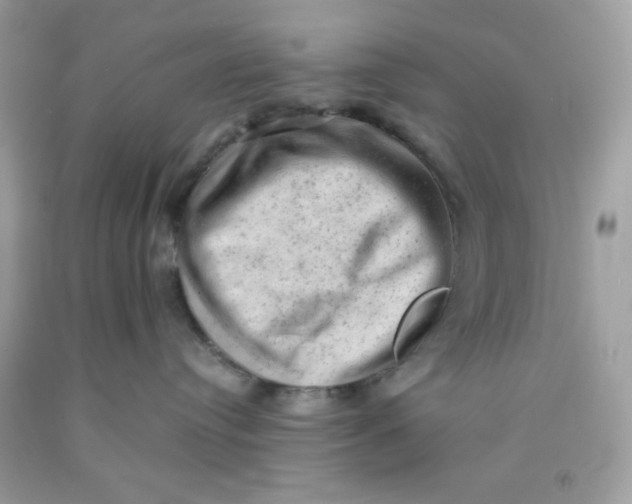 X0000091570384200709101002