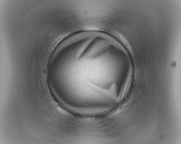 X0000091570385200709101001