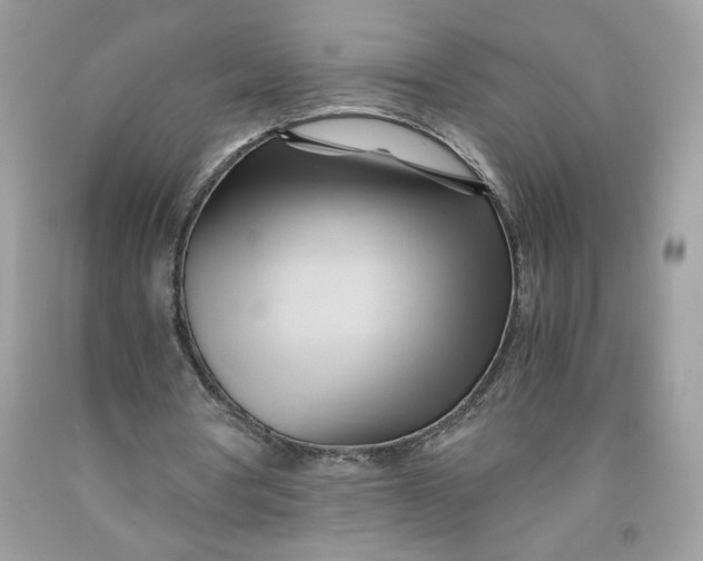 X0000091570386200709101001