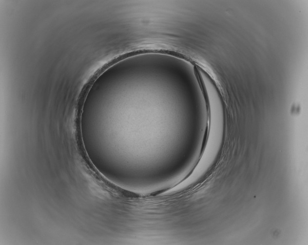 X0000091570387200709101001