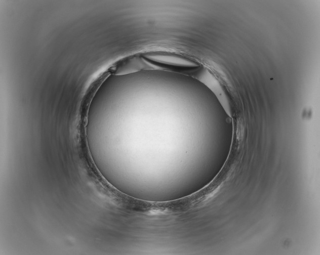 X0000091570388200709101001