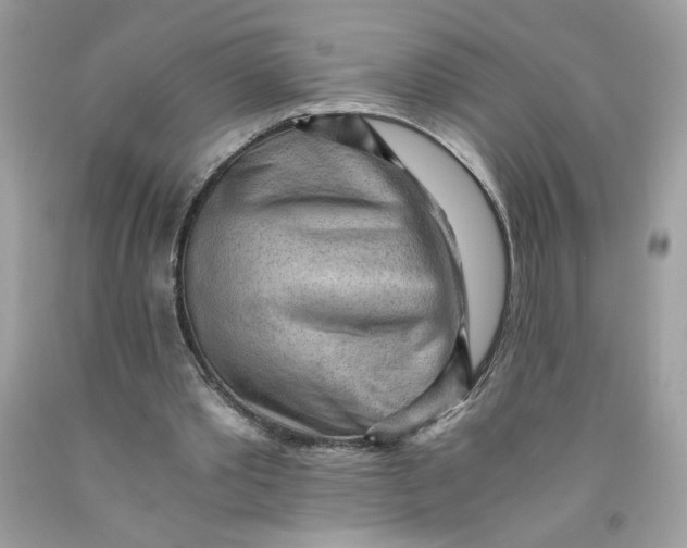 X0000091570389200709101001