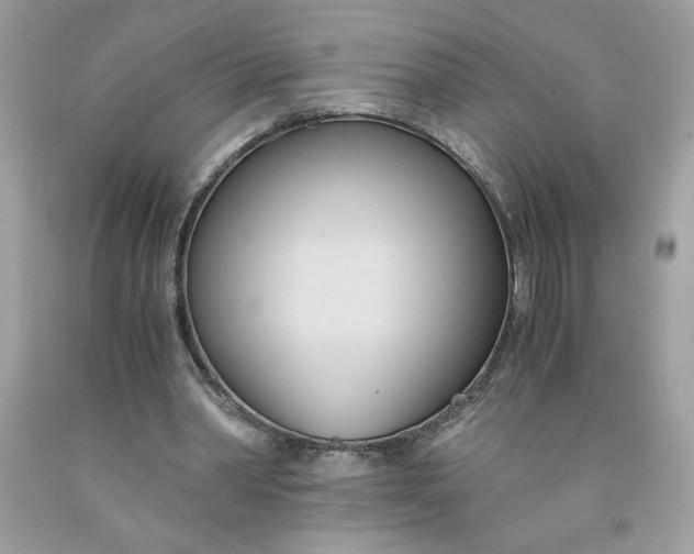 X0000091570390200709101001