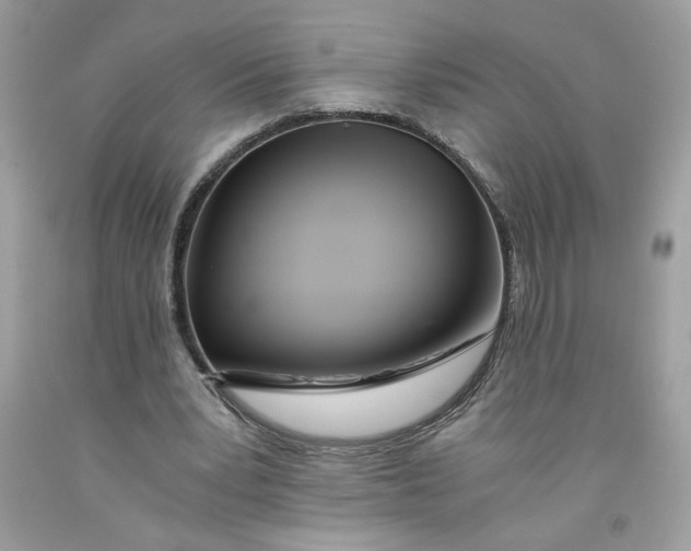 X0000091570391200709101001