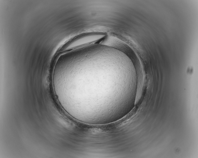 X0000091570392200709101001