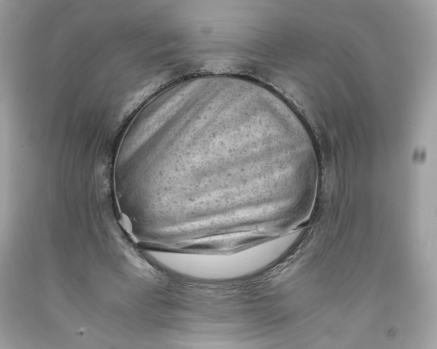 X0000091570393200709101001