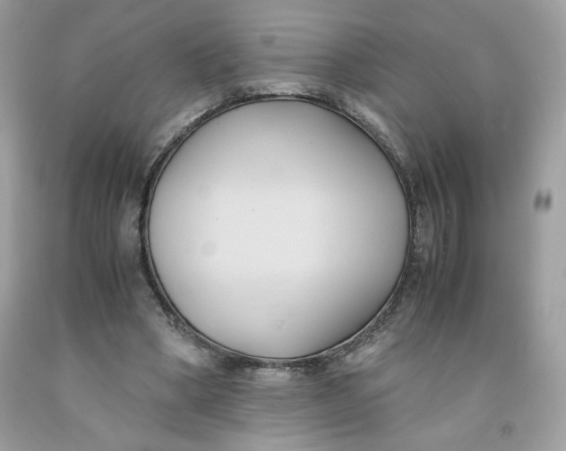 X0000091570394200709101001