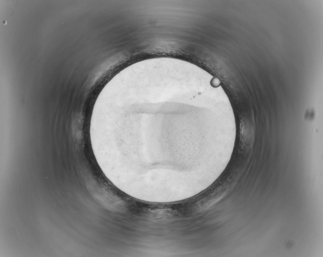 X0000091570396200709101001