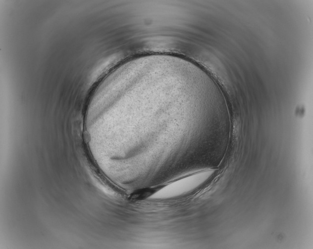 X0000091570397200709101001