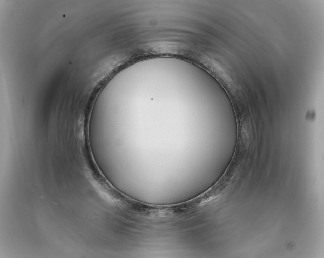 X0000091570398200709101001