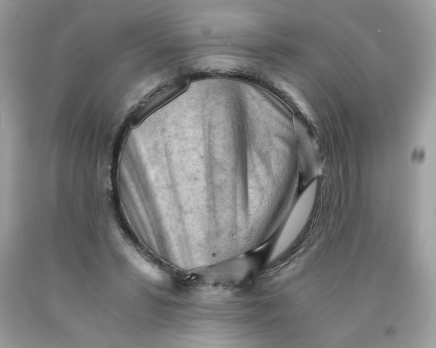 X0000091570399200709101001