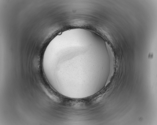 X0000091570400200709101001