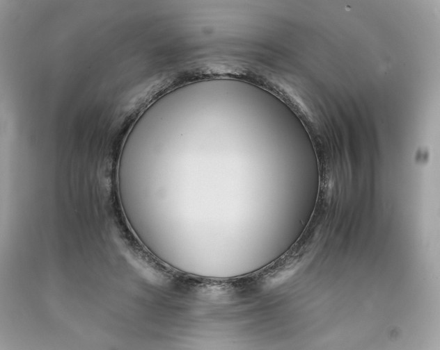 X0000091570402200709101001