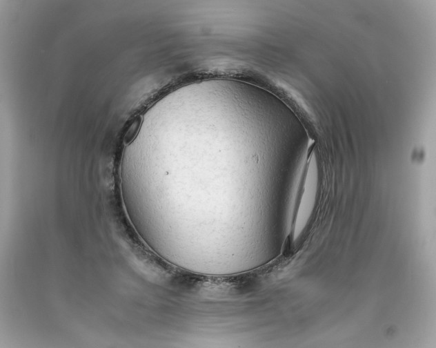 X0000091570403200709101001