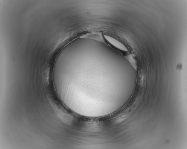 X0000091570404200709101001