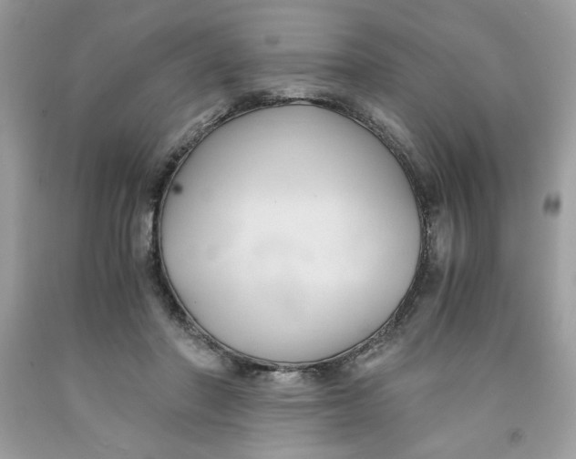 X0000091570406200709101001