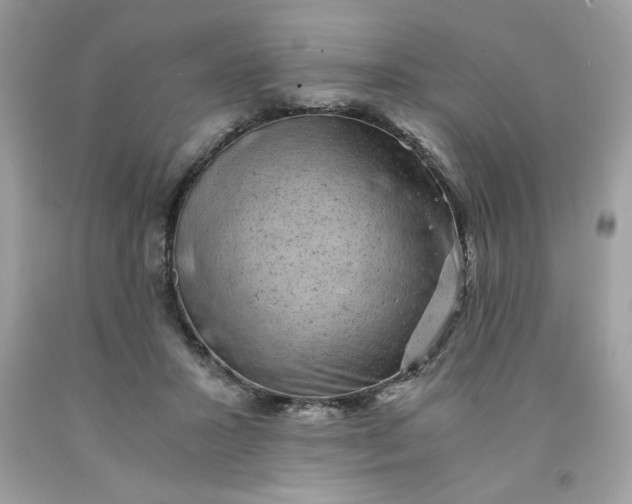 X0000091570407200709101001