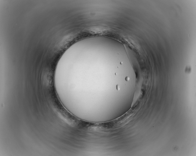 X0000091570408200709101001