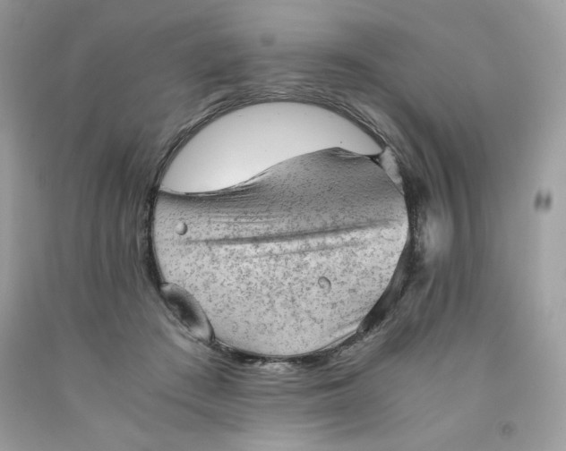 X0000091570409200709101001