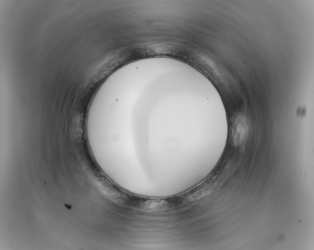 X0000091570410200709101001