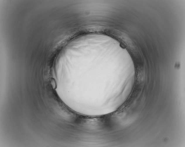 X0000091570411200709101001