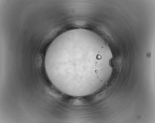 X0000091570412200709101001