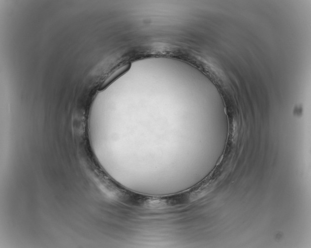 X0000091570413200709101001