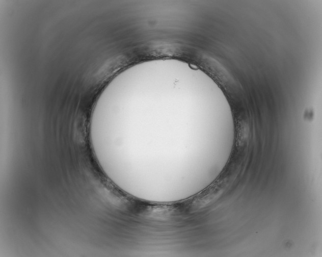 X0000091570414200709101001