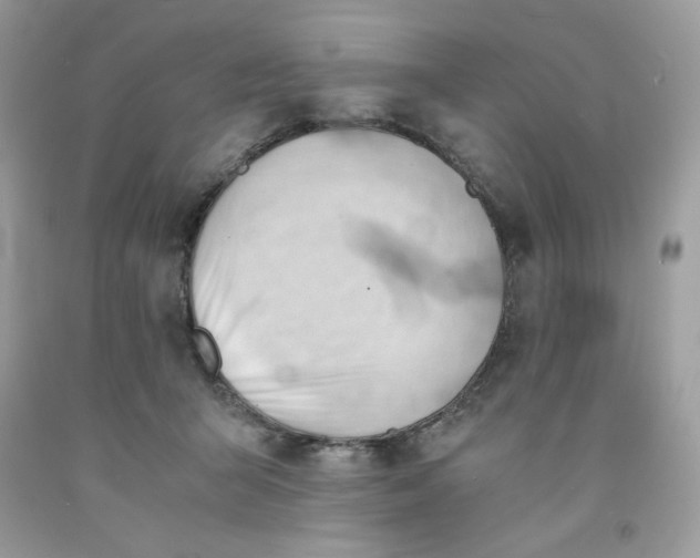 X0000091570415200709101001