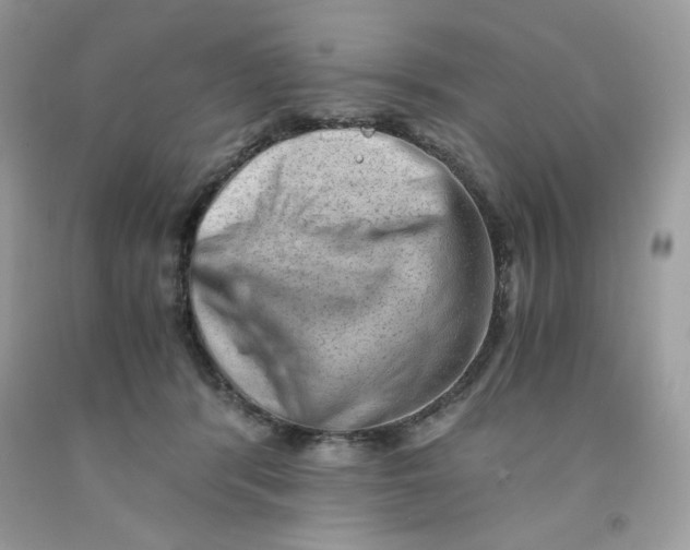 X0000091570416200709101001