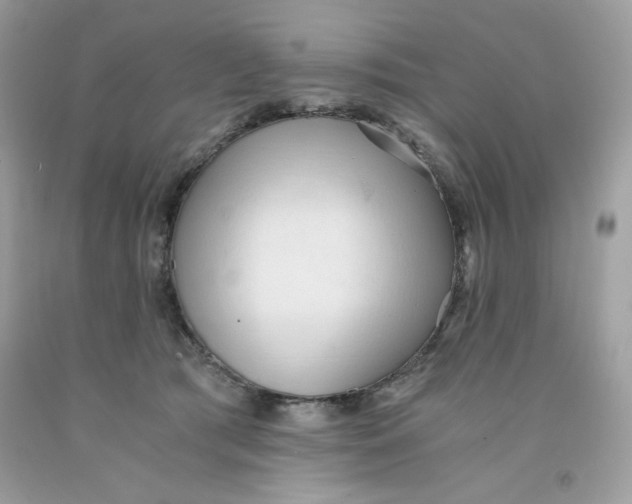 X0000091570417200709101000