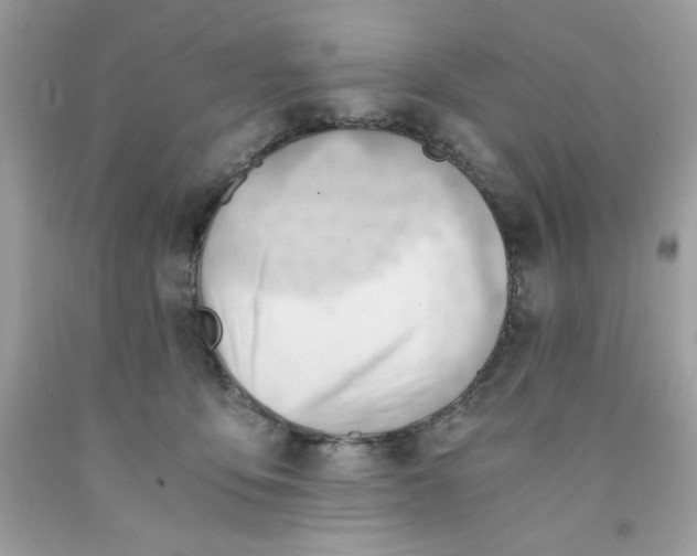 X0000091570419200709101000