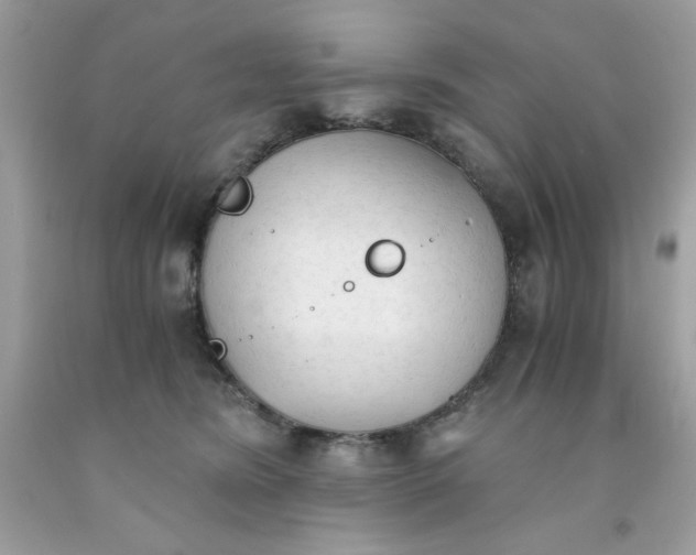 X0000091570420200709101000