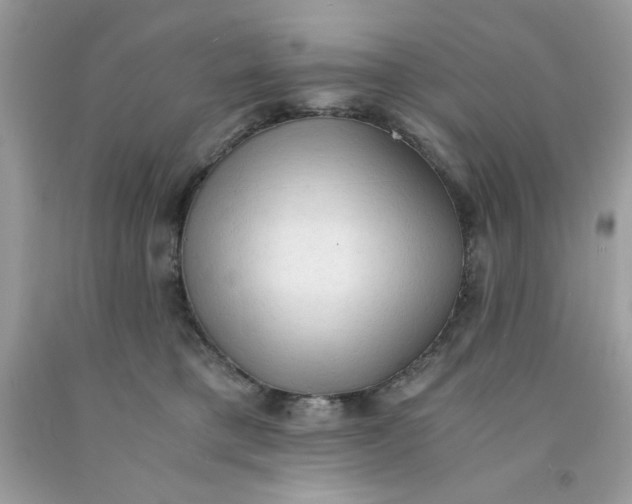 X0000091570421200709101000