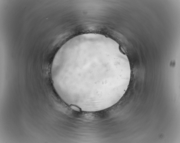 X0000091570423200709101000