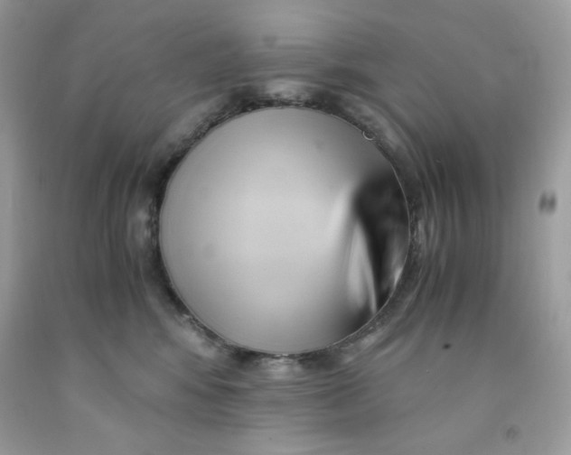 X0000091570424200709101000